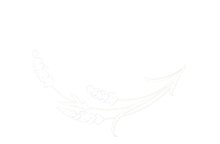 BergbauernLavendel