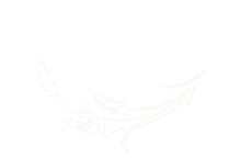 BergbauernLavendel